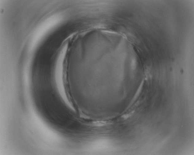 X0000071790052200607282313