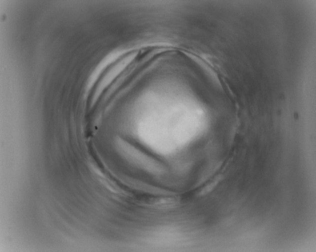 X0000071790056200607282313