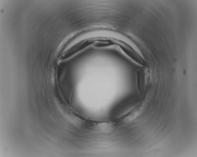 X0000071790064200607282313