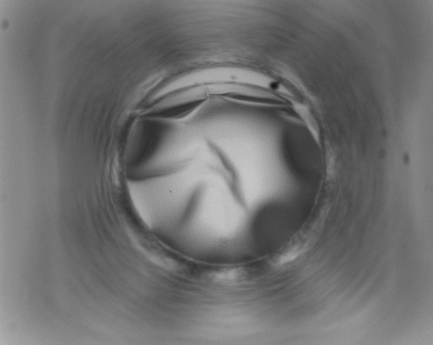 X0000071790068200607282313