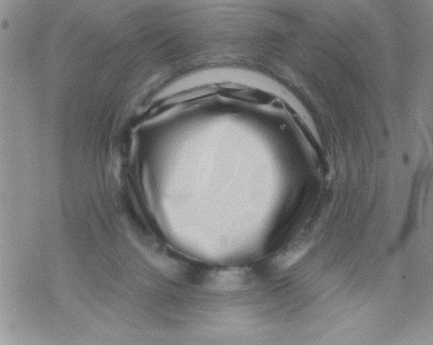 X0000071790072200607282313