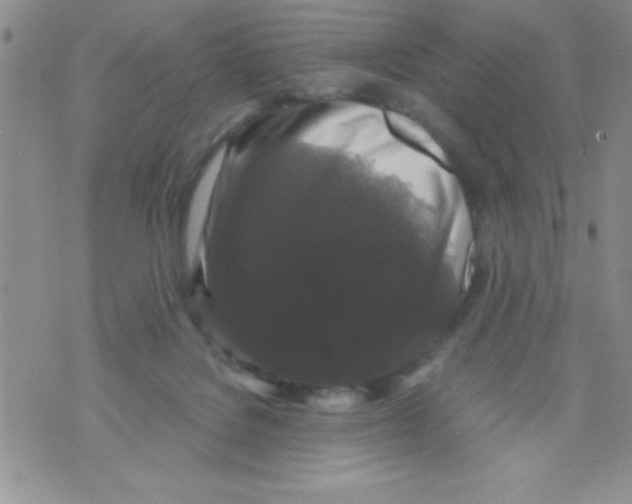 X0000071790076200607282313