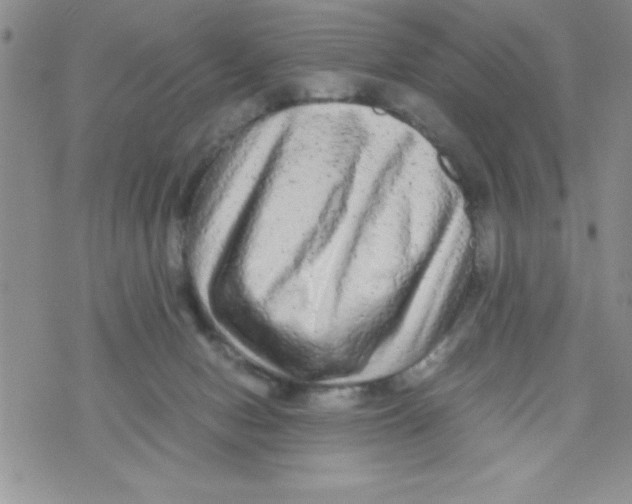 X0000071790078200607282313