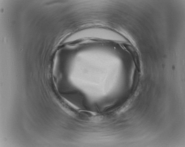 X0000071790105200607282313