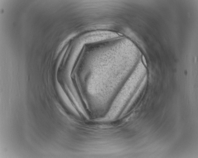 X0000071790107200607282313