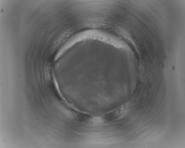 X0000071790114200607282312