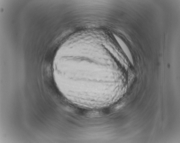 X0000071790123200607282312