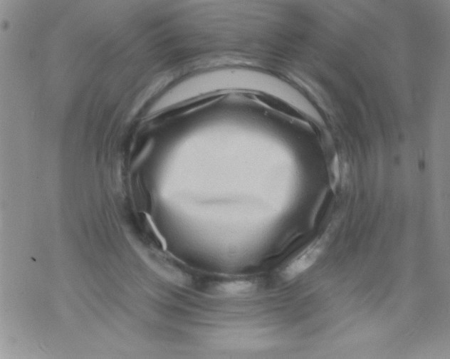 X0000071790158200607282311