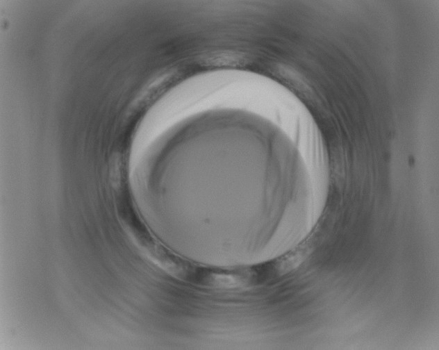 X0000071790167200607282312