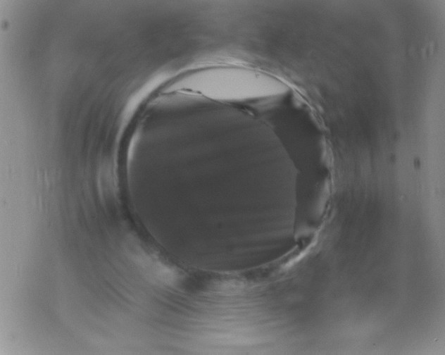 X0000071790200200607282311