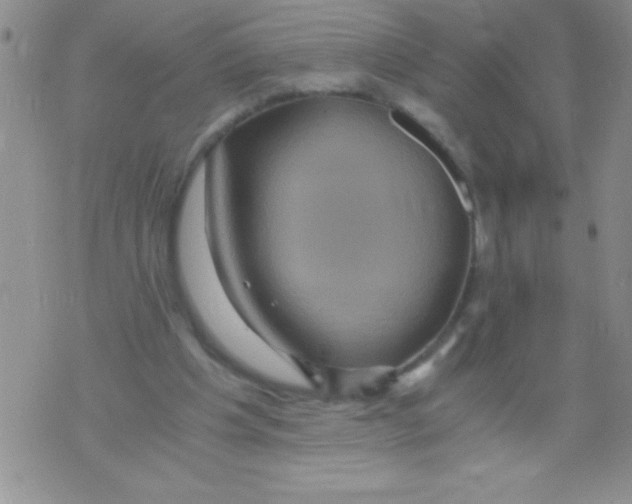 X0000071790201200607282311
