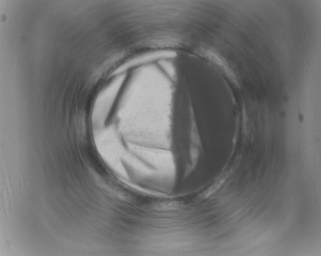 X0000071790202200607282311