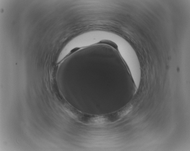 X0000071790219200607282311