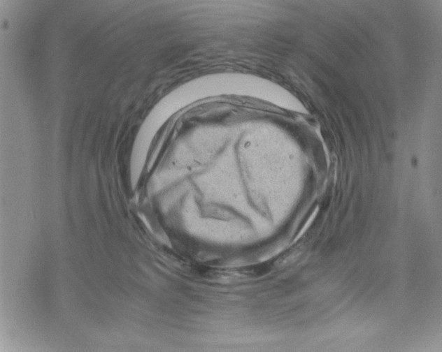 X0000071790229200607282311