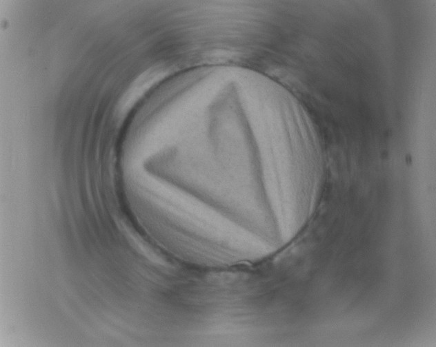 X0000071790242200607282310