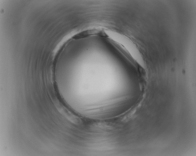 X0000071790244200607282310