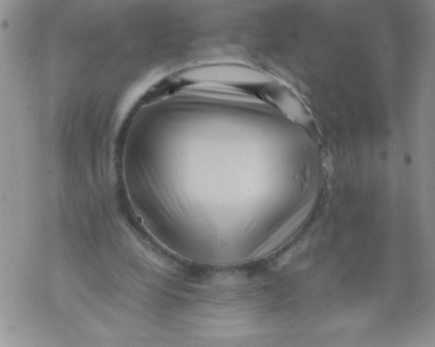 X0000071790248200607282310