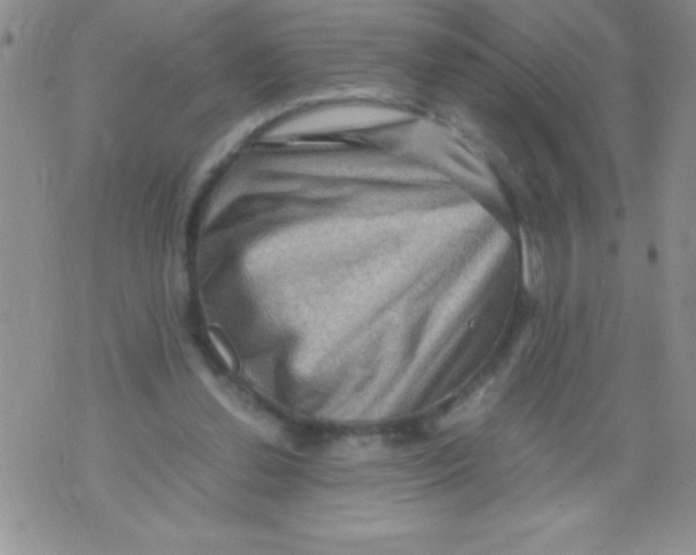 X0000071790252200607282310