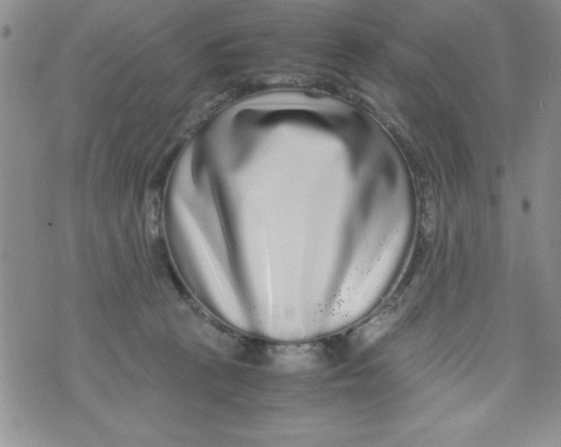 X0000071790273200607282310