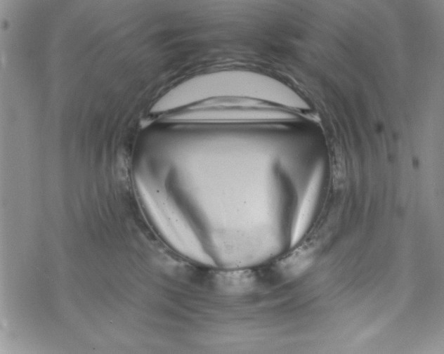 X0000071790281200607282310