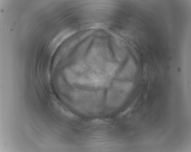 X0000071790290200607282310