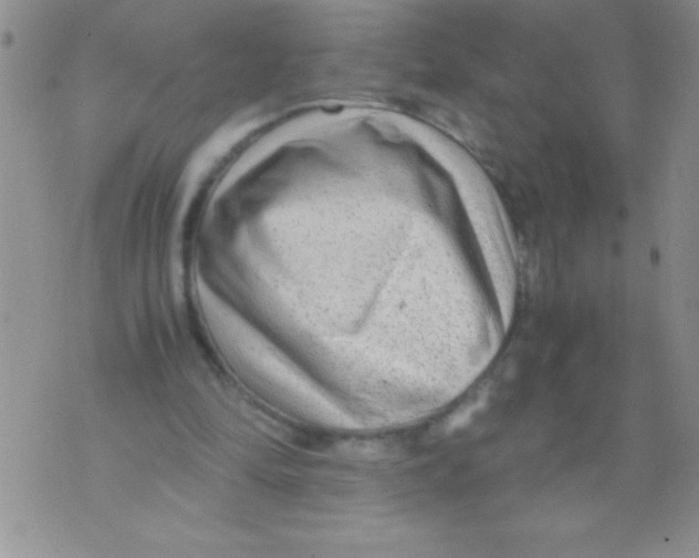 X0000071790294200607282309