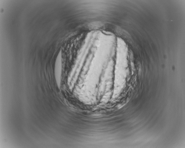X0000071790335200607282309