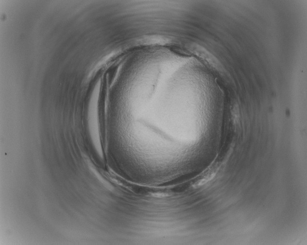 X0000071790352200607282308
