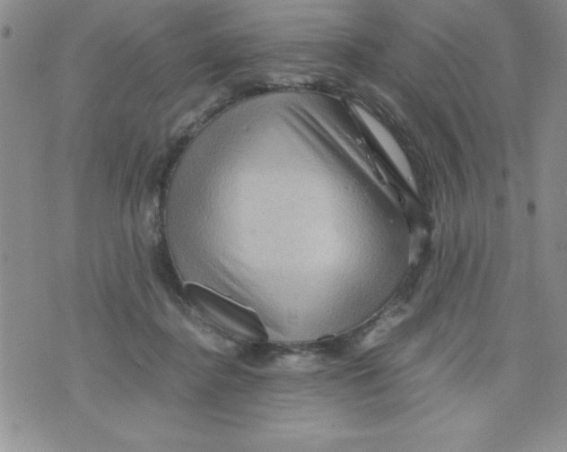 X0000071790364200607282308