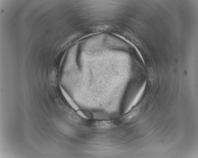 X0000071790378200607282309