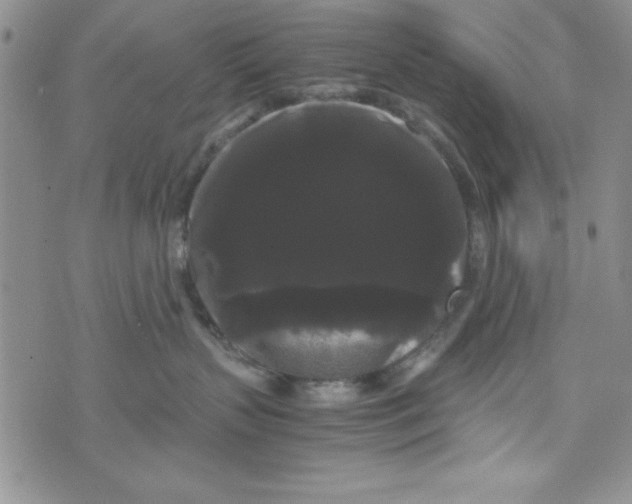 X0000071790383200607282309