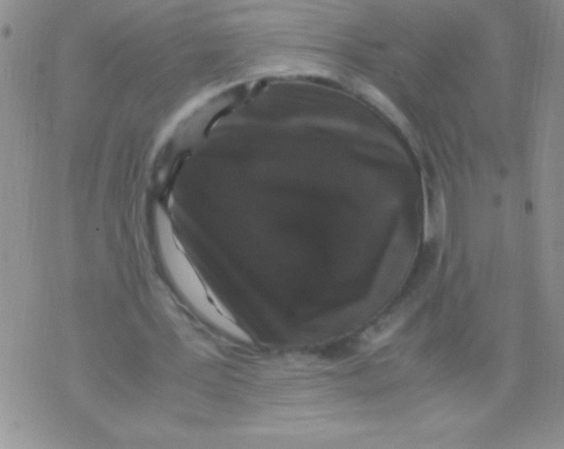 X0000071790387200607282308