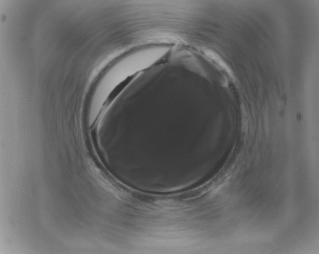 X0000071790391200607282308