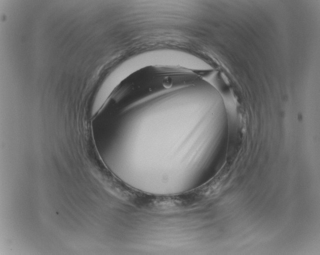 X0000071790407200607282308