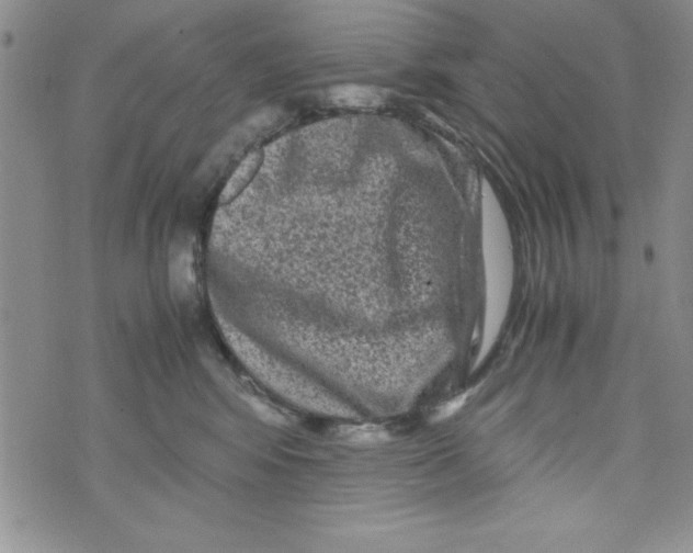 X0000071790424200607282307