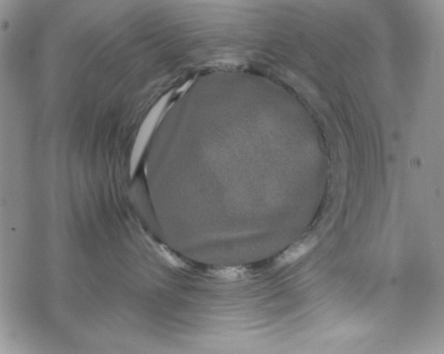 X0000071790432200607282307