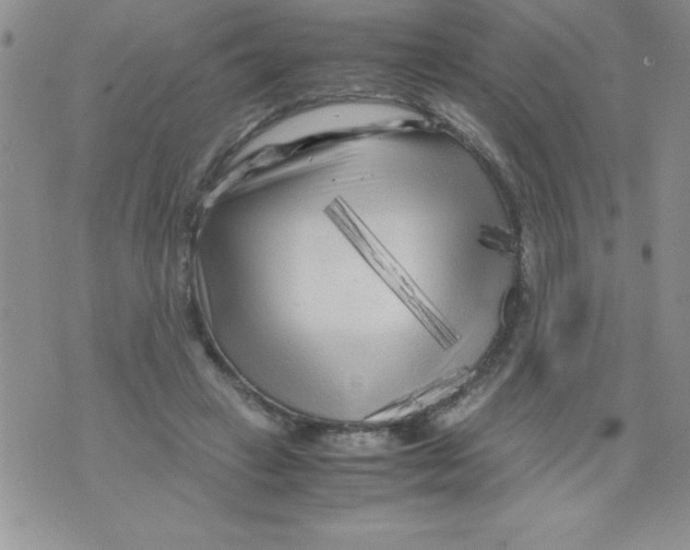 X0000071790449200607282307