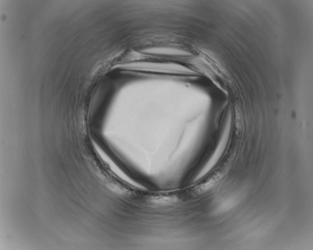 X0000071790453200607282307