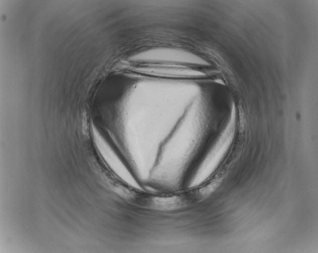 X0000071790457200607282307