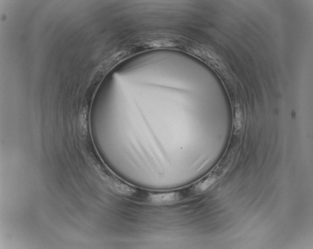 X0000071790461200607282307