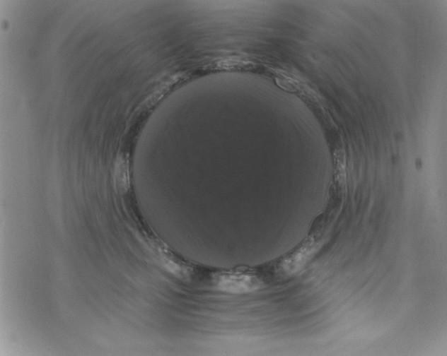 X0000071790471200607282307