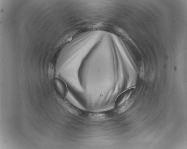 X0000071790476200607282307