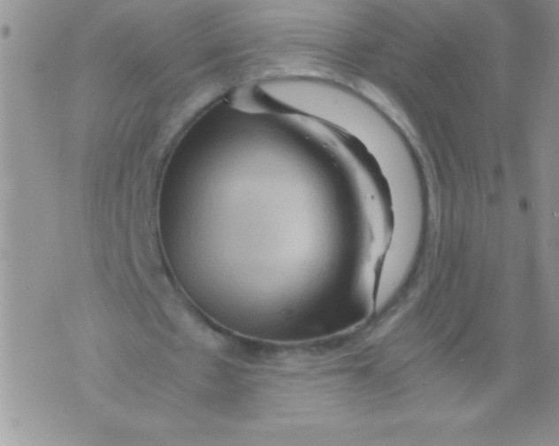 X0000071790481200607282306