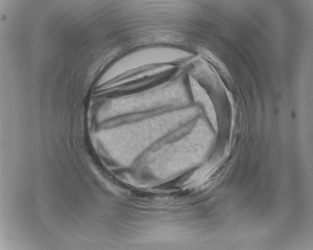 X0000071790493200607282306