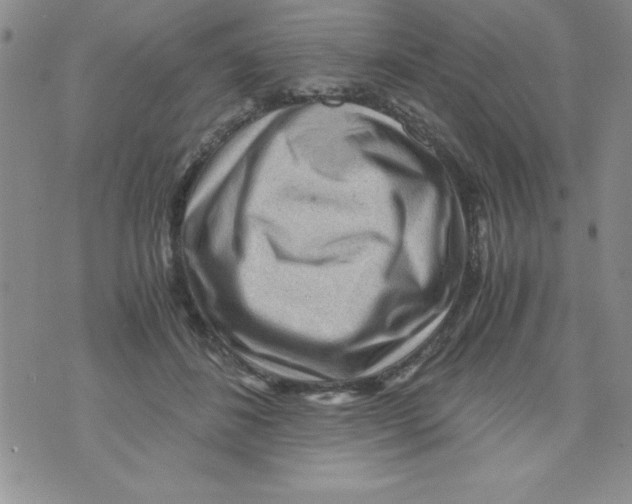 X0000071790508200607282306