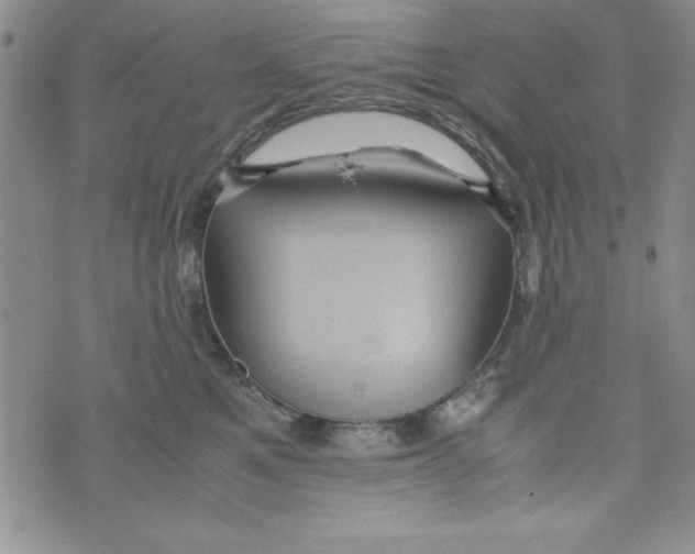 X0000071790521200607282306