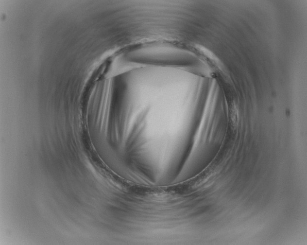 X0000071790540200607282305