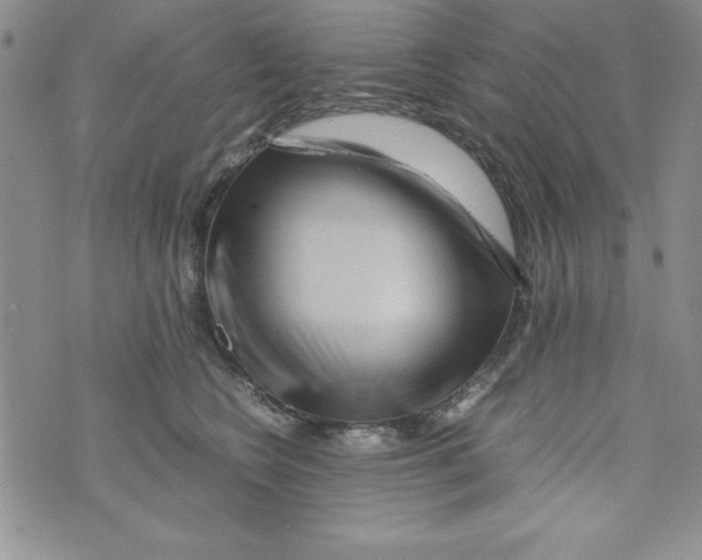 X0000071790566200607282306