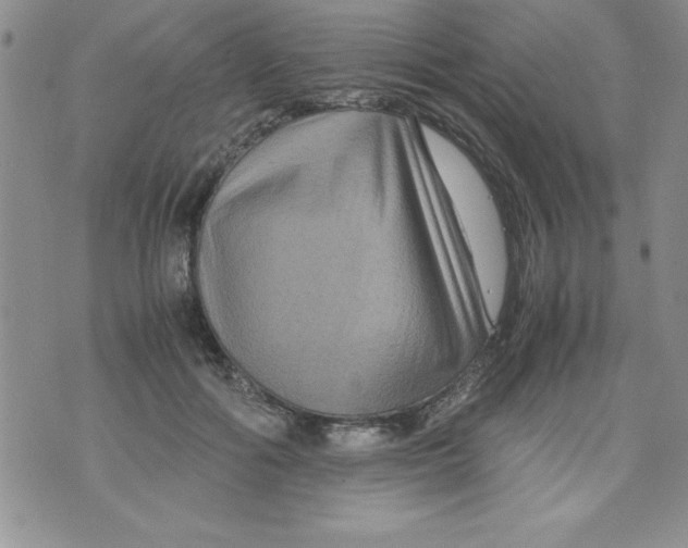 X0000071790602200607282304