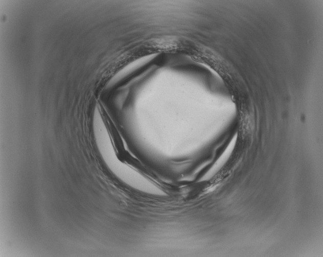 X0000071790609200607282304